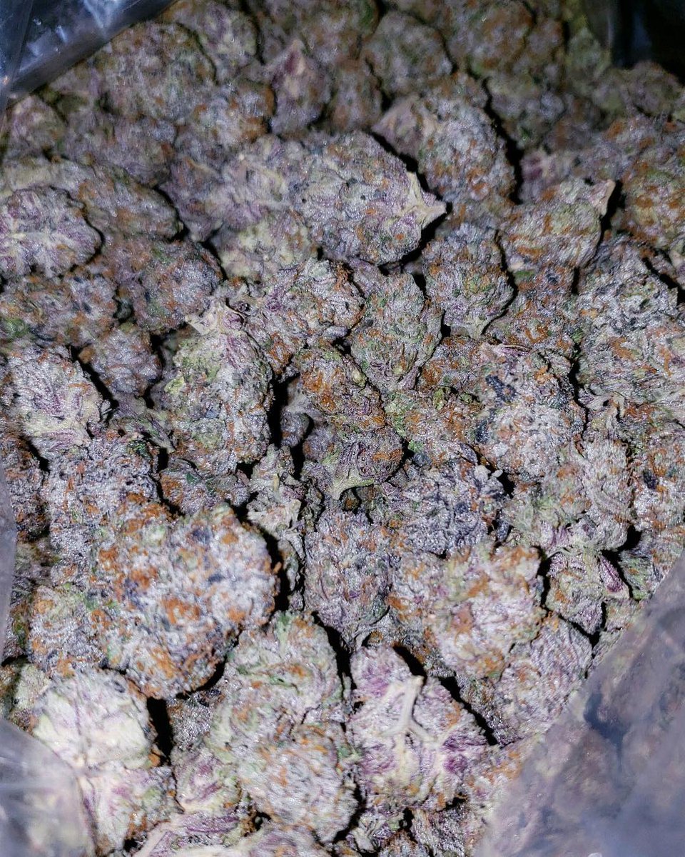 uptownplug1's tweet photo. 😈🌴❄️There’s Nothin’ FINER Than Smokin’ Privilege Pack DESIGNER❄️🌴😈‼️
😈🌴💼🔥EXOTIC BAG SWAG🔥💼 https://t.co/n12j258aHL