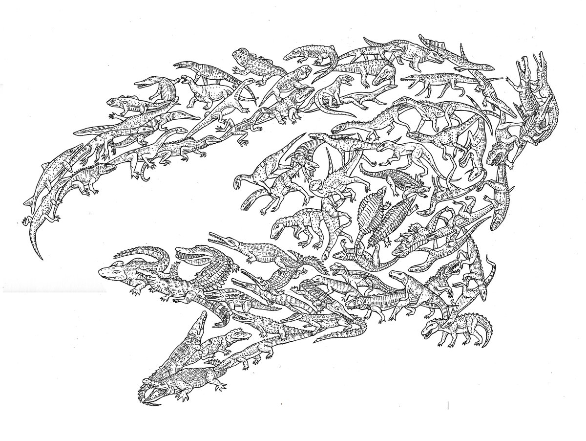 evolutionposter's tweet photo. #Archosauriformes (exc dinos)
#Archosaurus, #Proterosuchus, #Erythrosuchus, #Vancleavea, #Tropidosuchus, #Chanaresuchus, #Euparkeria, #Parasuchus, #Smilosuchus, #Pseudopalatus, #Pseudosuchia, #Crocodile, #Alligator, #Caiman - #reptiles #evolution #treoflife #paleoart #animalart https://t.co/LSR3LCGBuv