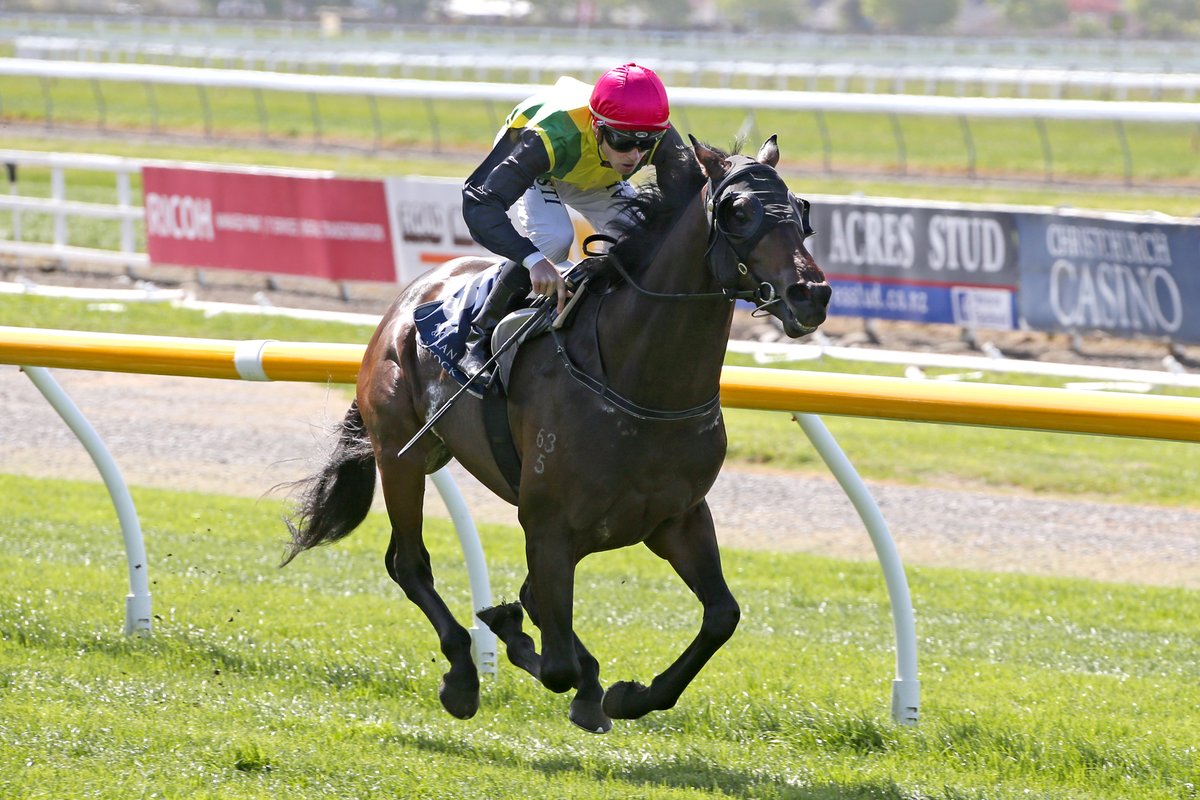 nzracingnews's tweet photo. #TheChosenOne, #LongJack and #QuickThinker are back in work after Australian spring campaigns with the latter pair walking a fine line to get to @Ellerslie_Races late next month for another Group One target. @ForsmanAndrew
https://t.co/LzQyXdNkSz https://t.co/GUORMB3z0j