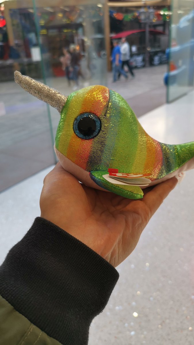 notkelvinwong's tweet photo. I want to be Narwhale not a Unicorn. #groundedinreality #startupthoughts https://t.co/Khxq7XZMNj