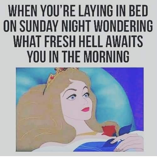 HeleneFrenchie's tweet photo. Not laying in bed yet but #ThinkingAboutIt #MondayHell #JanuaryBluesIsWorsein2020 #BrexitMonth https://t.co/MfUP89jaAN