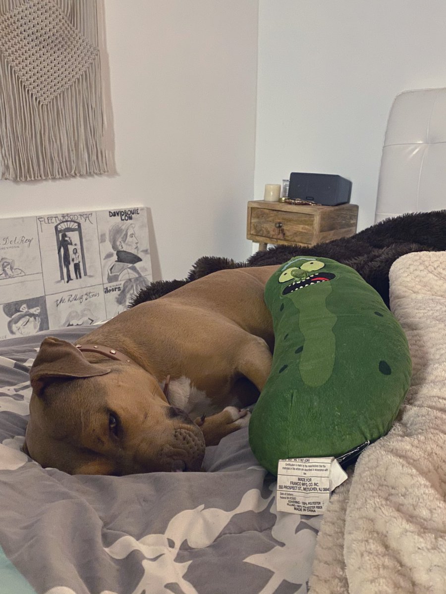 maddyazma's tweet photo. @wizkhalifa Sunday does love a cuddle https://t.co/OkiyjmXRhE