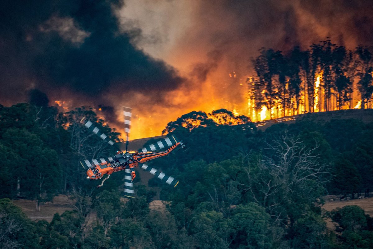I’m grieving at the multiple losses suffered on a staggering scale #BushfireEmergency;angry at the repeated, despicable behaviour of ⁦<a href="/ScottMorrisonMP/">Not ScoMo</a>⁩, frustrated that #ClimateEmergency is upon us. But so proud of our spirit; volunteer heroes, generous communities, hope.