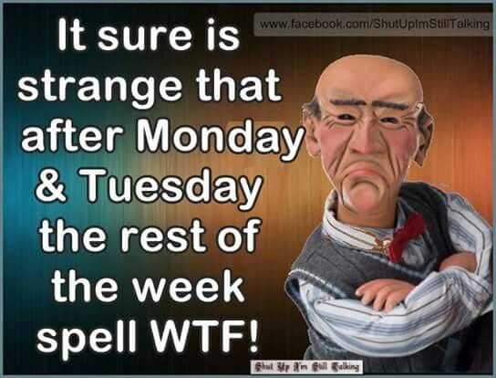 William70552672's tweet photo. So true https://t.co/yYv9A10IGq