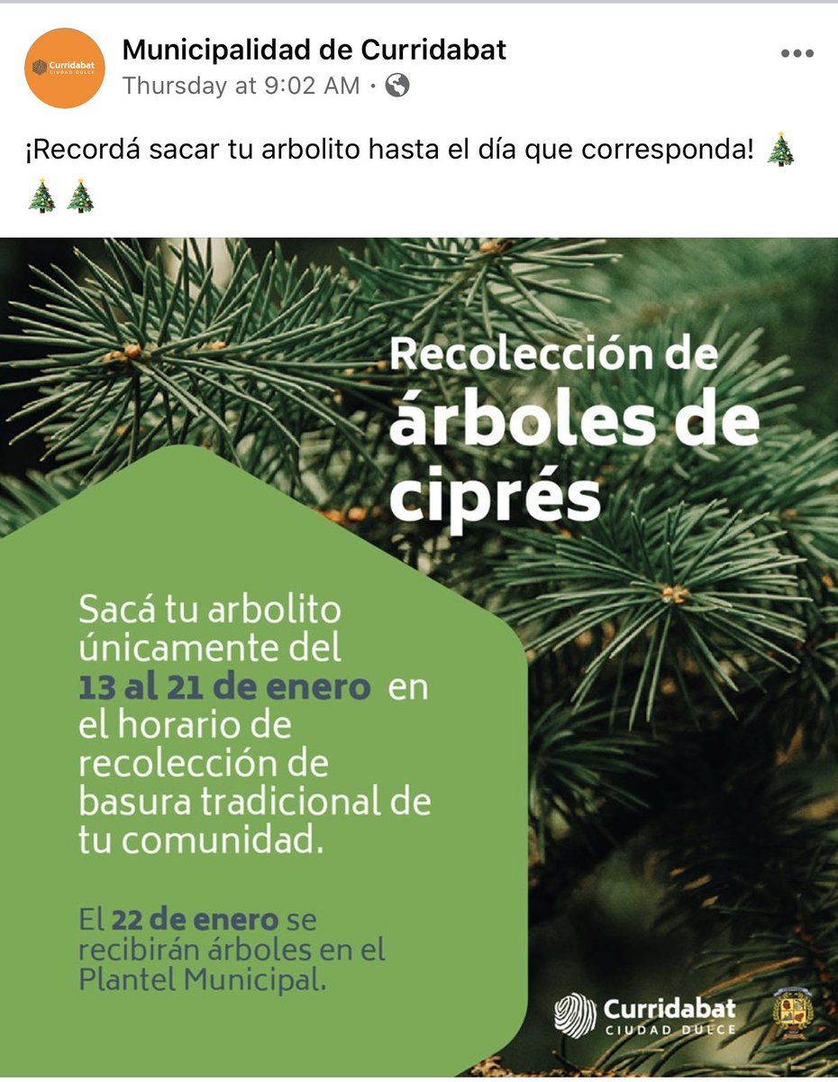zdesperdiciocr's tweet photo. Recoleccion de árboles de navidad: https://t.co/jzsoE3MMyG