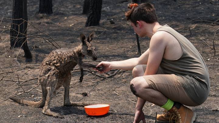 PeachyPoison's tweet photo. And please don’t forget the little guys who never stood a chance
#AustralianFires #AustralianWildlife 
https://t.co/FNoD8gbamw https://t.co/uHy1n7F6xM