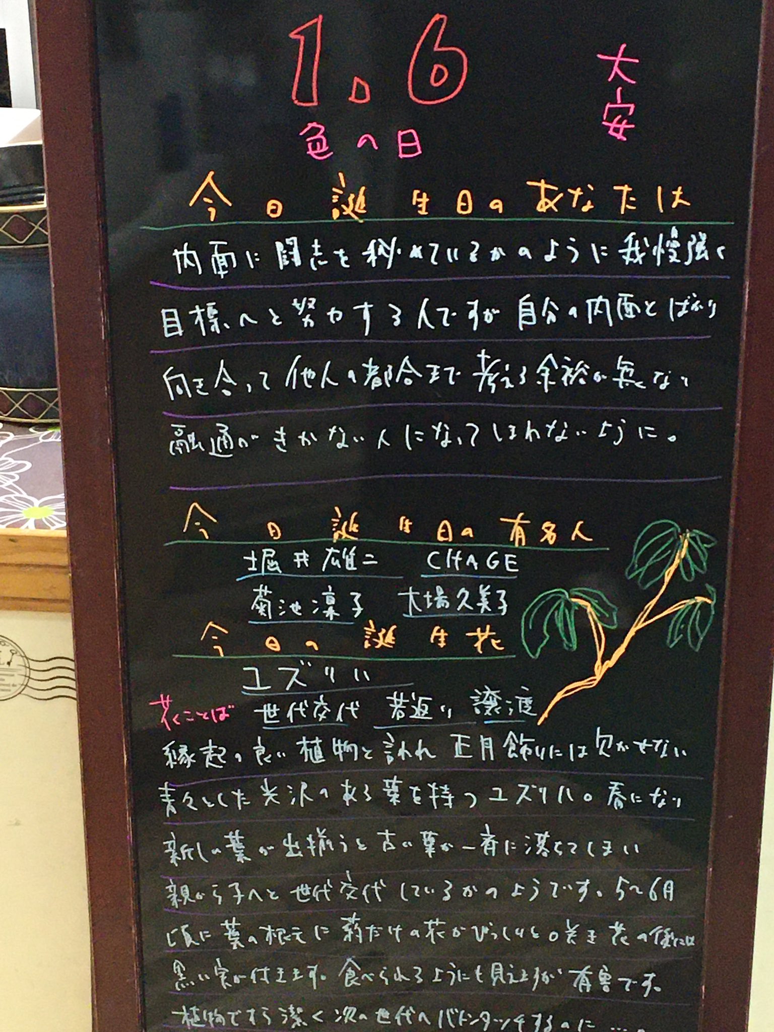 花色舞 Sc店 בטוויטר 今日の誕生花は ユズリハ 譲葉 比較的手を掛けなくても丈夫育つので庭木として用いられることも多いですが成長が緩やかな植物なので庭木として鑑賞するためには10年はかかります 防火の機能を有する樹なので