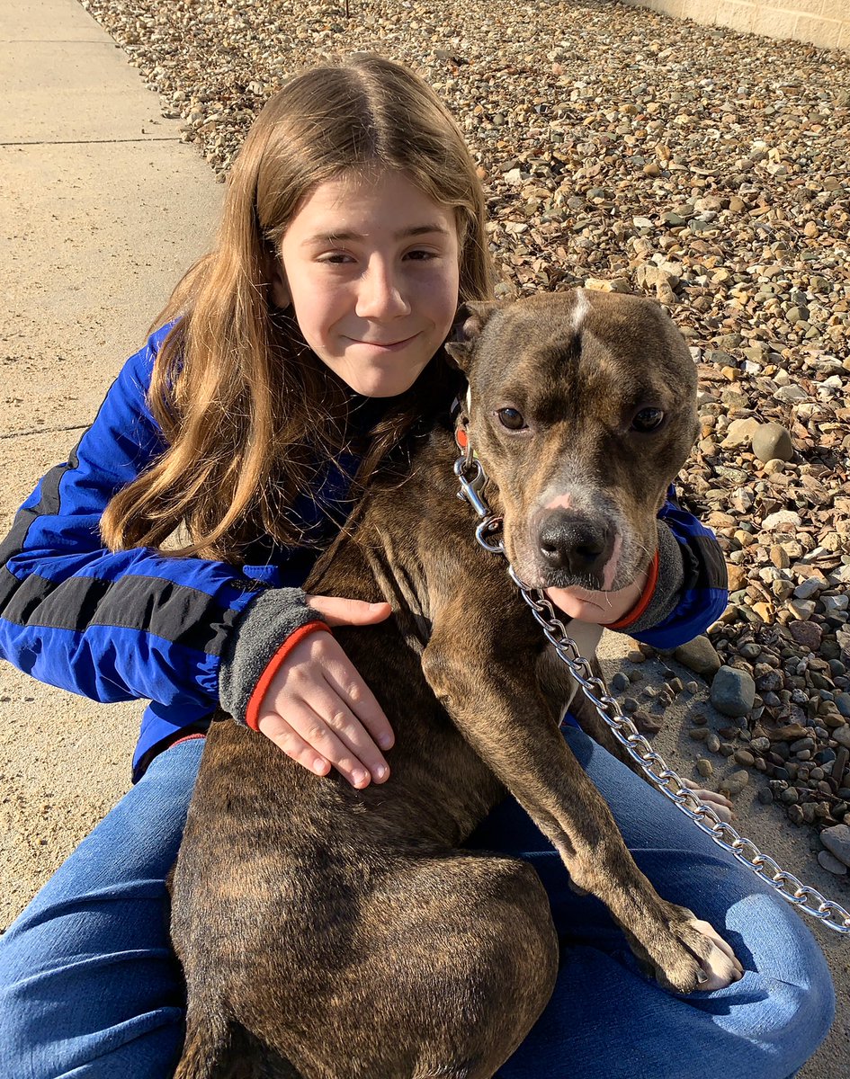 I pet Lucky. He is 2 years old and in need of a home @cedarbendhs . Lucky was living with his family, including young kids, until they couldn’t have a dog anymore. Lucky is a lapdog who just wants attention. He sat on me the whole time! The staff say he is a big mush puppy.