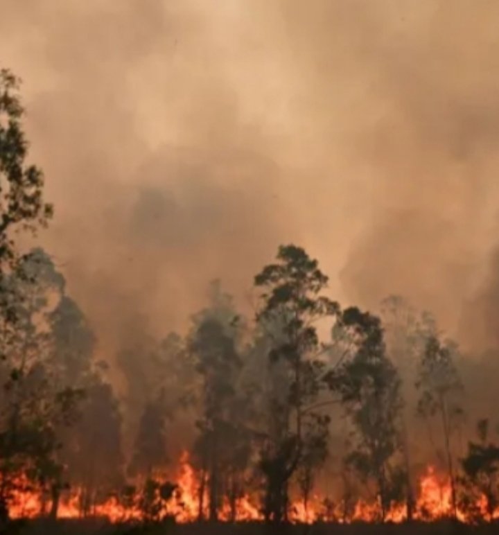 amriana's tweet photo. #Canada had sent Firefighters & help to #Australia.
Thank you @JustinTrudeau
Please if you can, donate to the
#AustralianRedCross
Thousands lost their homes & businesses, animals need care, People have to rebuild their lives.
#PrayForAustralia
#OnePlanetOneHumanity
#RainRain https://t.co/cy5LVh45k5