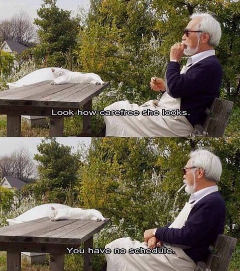 Hayao Miyazaki and his cat Ushiko Happy Birthday Hayao Miyazaki! 