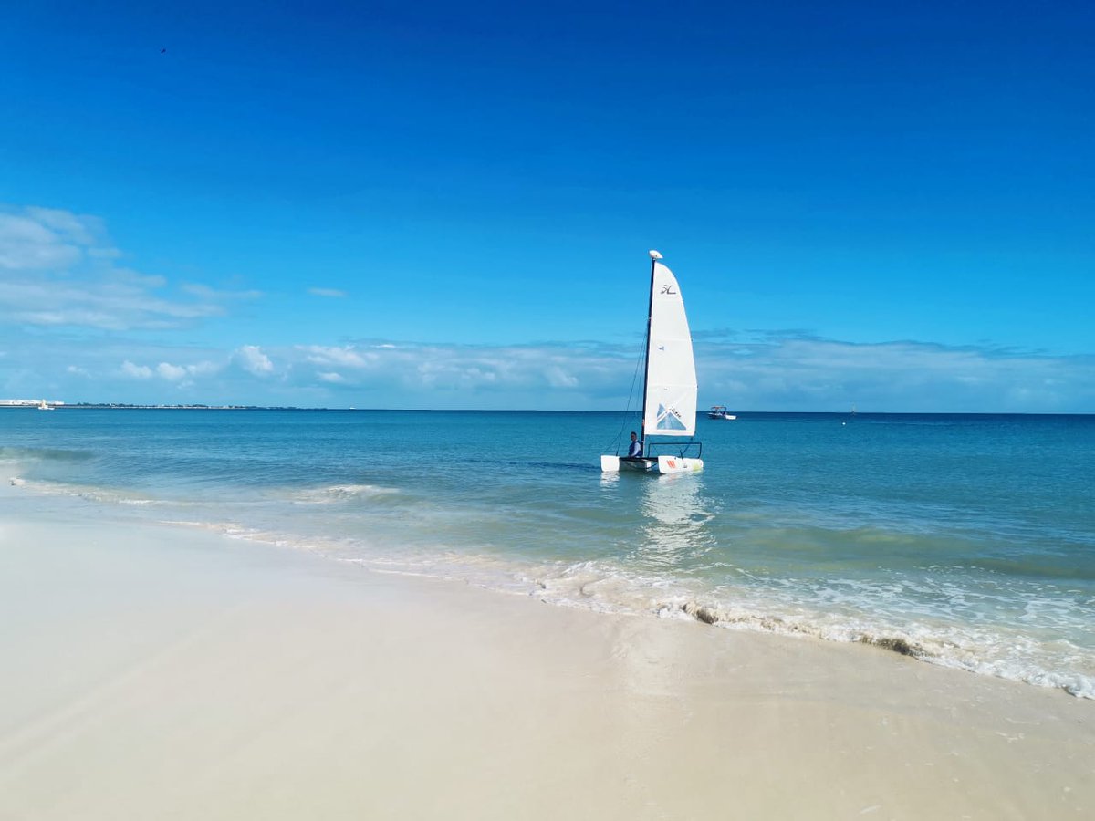 Admire this beautiful view at #DreamsPlayaMujeres Golf &amp; Spa Resort!
Can you hear the sound of the wind, the birds and the waves? bit.ly/2TwDreamsPlayaM