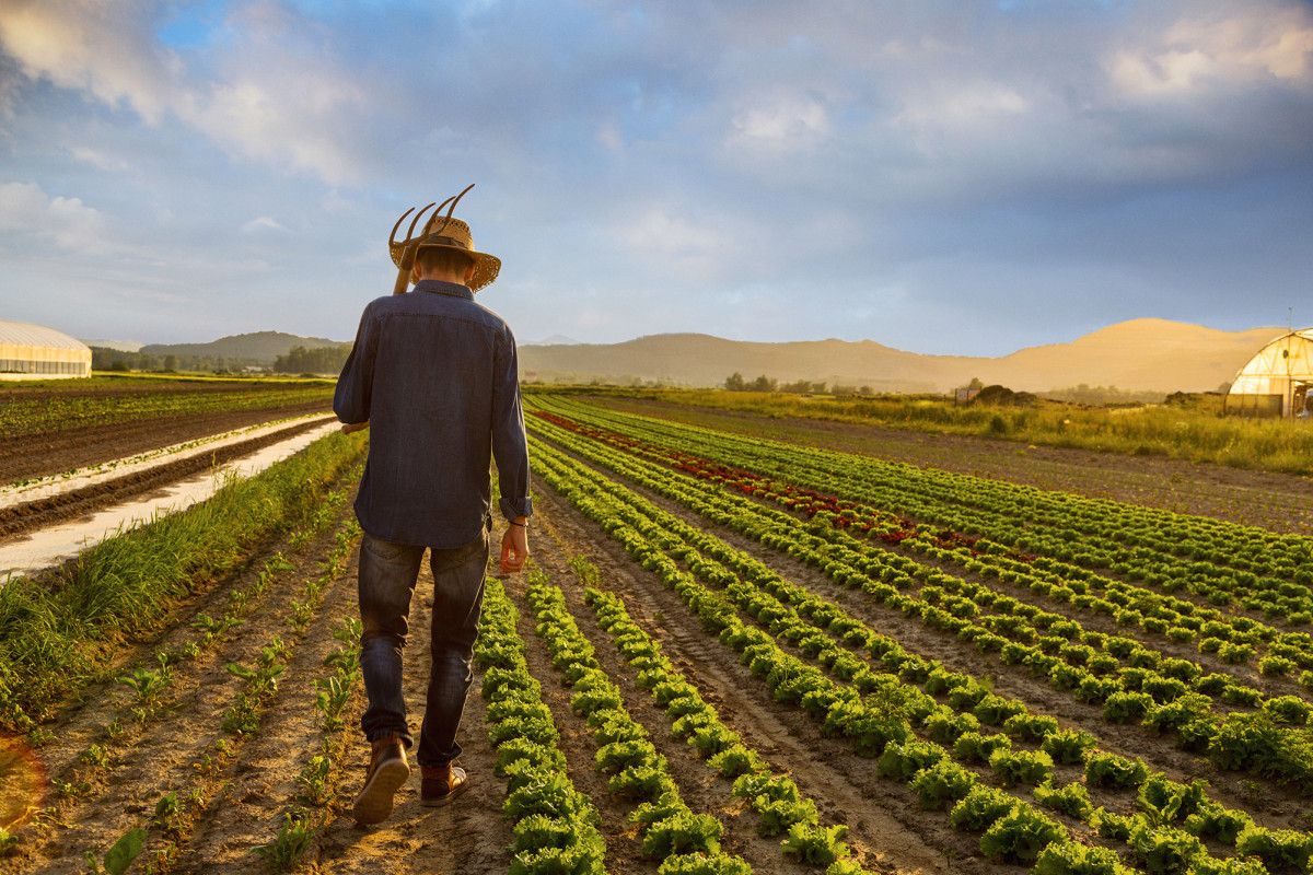 Demeter_Stick's tweet photo. Helping this man make a living #savethefarmers https://t.co/KPcGVek2Gt