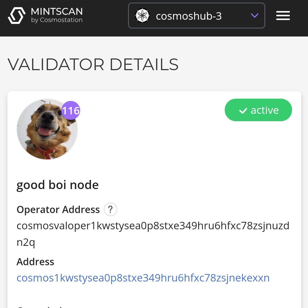 mappum's tweet photo. If you have Cosmos Atoms, consider delegating to my dog: https://t.co/McJbqd2DnF https://t.co/wUx7IbhXi0