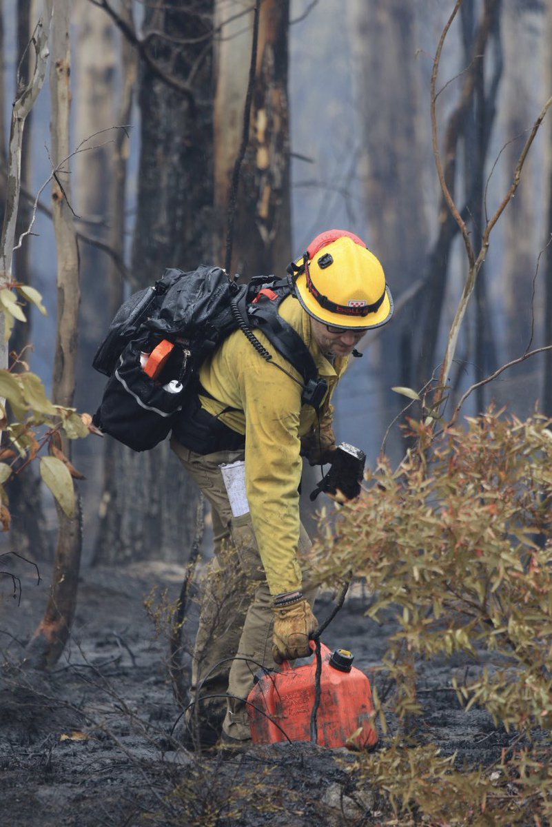 vicemergency's tweet photo. 41 U.S. firefighters are already in Victoria, with an additional 70 firefighters from Canada and the U.S. expected to join on 8 January. 

They have been working with local teams to re-establish access and assess impact.

 Thank you for helping us in our time of need. #vicfires https://t.co/NbyW2Nyvxb