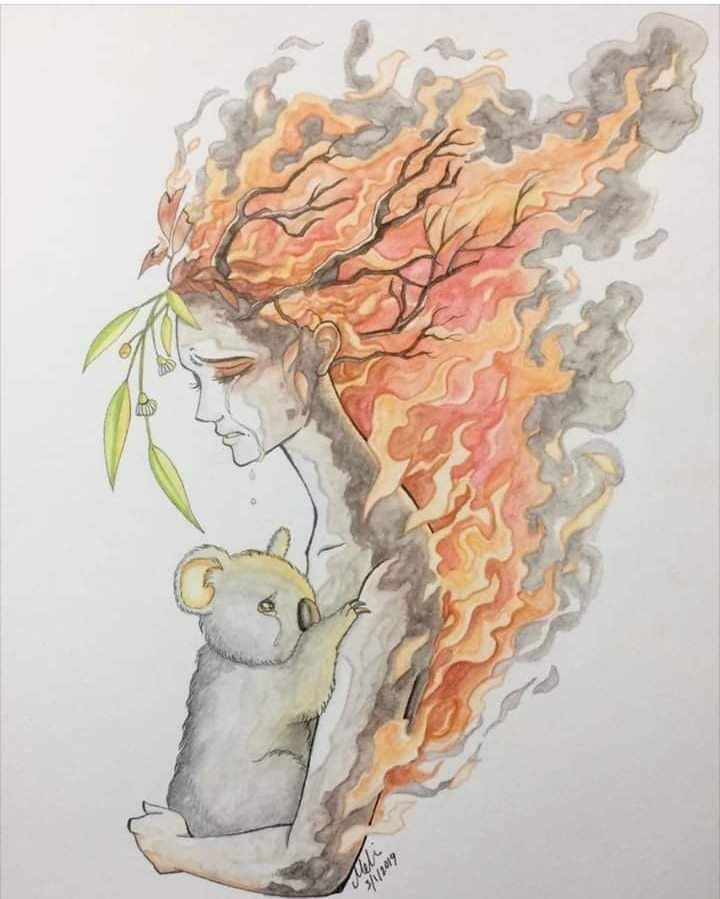 abigailsimon_'s tweet photo. #PrayForAustralia 🙏 #DonateForAustralia https://t.co/wDGRxbaHO4