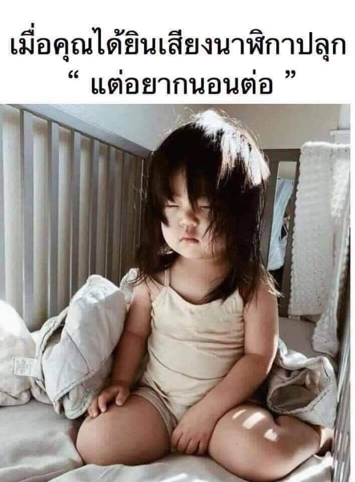 FF tweet media