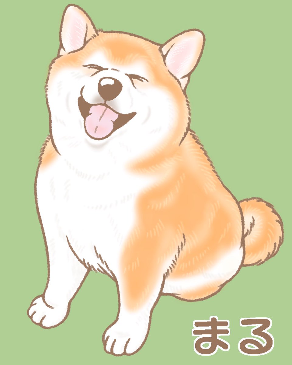 no humans dog animal focus tongue simple background green background shiba inu  illustration images