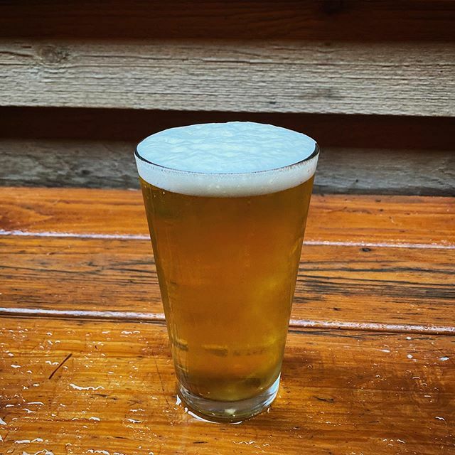 TheRichmondBar's tweet photo. Bavik Pilsner on draft! Delicious and crisp.
.
.
.
#beer #bavik #pilsner #pdx #portlandbar #bar #richmondbar #happyhour #refreshing #yummy #rainysunday https://t.co/2oGH7Ri3EH https://t.co/0I8m2CBHEd