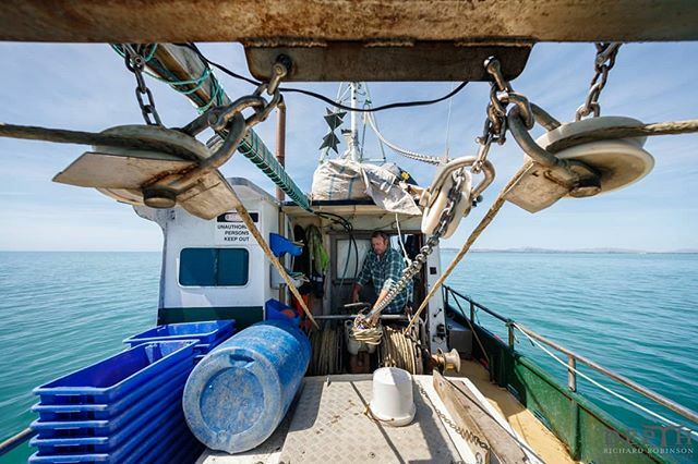 DepthNZ's tweet image. Hawke’s Bay trawl fisherman Karl Warr “burned the candle at both ends, worked 90 hour weeks and lived meekly” until he could buy his own quota. That’s given him the freedom to innovate: he’s invented a cage that fits onto the end of a trawl net. He can m… ift.tt/36vB1vq