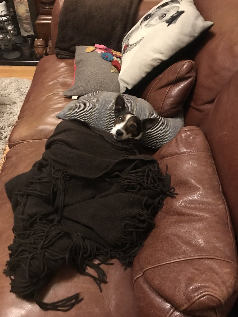 Jimmy t Garrett tweet media