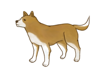 雑種犬のtwitterイラスト検索結果 古い順