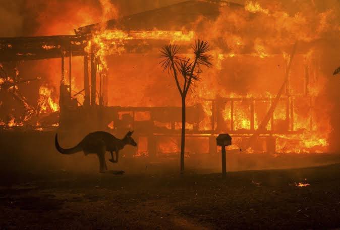 byeaussie's tweet image. Don’t ignore this please. Please help. Every cent counts. These fires have been burning since September and just getting worse.