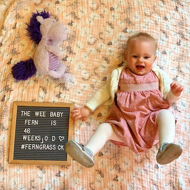 mgrassick's tweet image. It’s getting harder to keep her in the frame... #FernGrassick #46WeeksOld #PurpleHorsey ift.tt/2sPM6ZQ