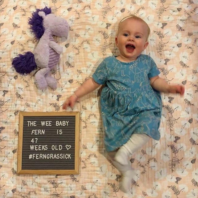 mgrassick's tweet image. Into the new year with a jig in her step #FernGrassick #47WeeksOld #PurpleHorsey ift.tt/2QqOBKV