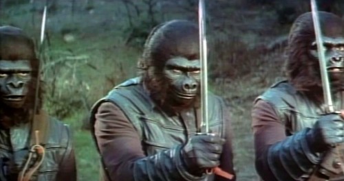 Anyway, the apes have an inter-ape spat because gorillas are militaristic and violent, chimpanzees are smart and tolerant, and orangutans are intellectual pacifists, and I am not making this up to say that one of the lessons of this movie is NEVER TO STEREOTYPE ANYONE. /15