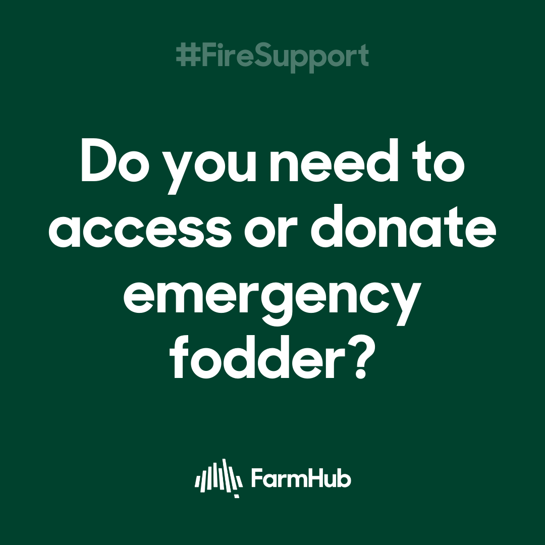 Registers for donating and accessing emergency livestock fodder are in place in VIC, SA and NSW. See numbers to call below. ☎️

SA: (08) 8297 2299
VIC: 1300 882 833
NSW: 1800 814 647

For more information and assistance, visit farmhub.org.au