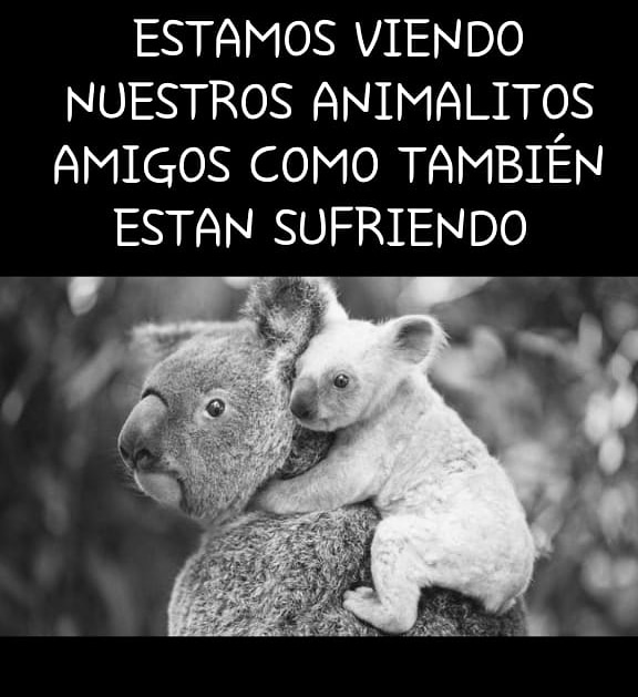 IanGutierrez951 tweet picture