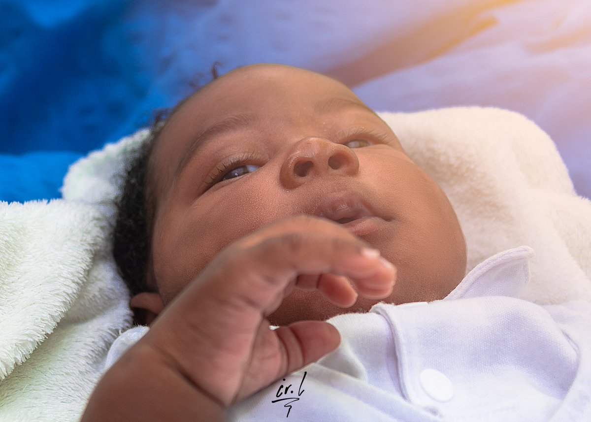 irlsights's tweet photo. Welcome Zane. https://t.co/uAAcK9yi3E