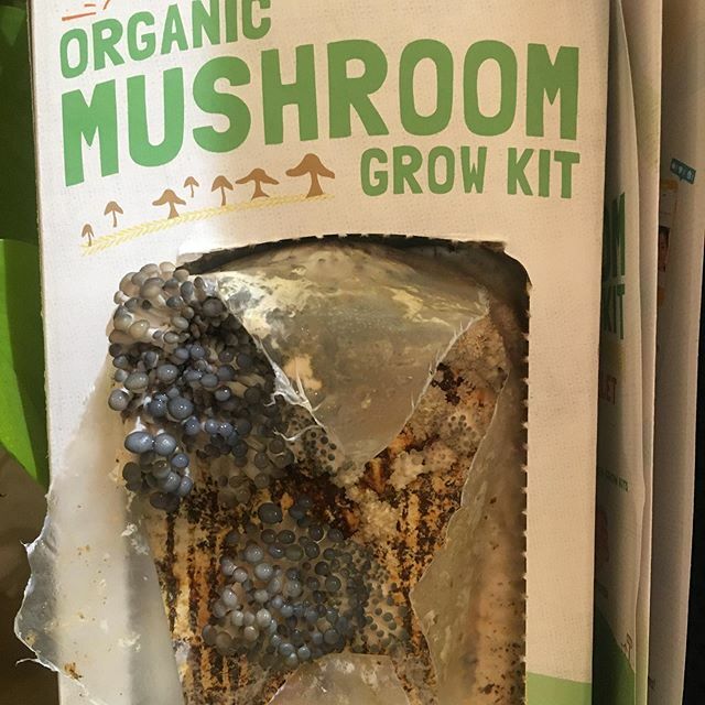 Katie White tweet media