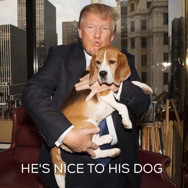 Cuando a las putas se les paga deben cumplir su trabajo.
A mi me pagaron y cumpliré con el mio.

Con 100 de mis  mafiosos  secuaces  me perpetuaré indefinidamente en la #AsambleaNacional.

Hay mucho billete de por medio y por la plata baila este GuaiDog . Ni guevón que fuera.