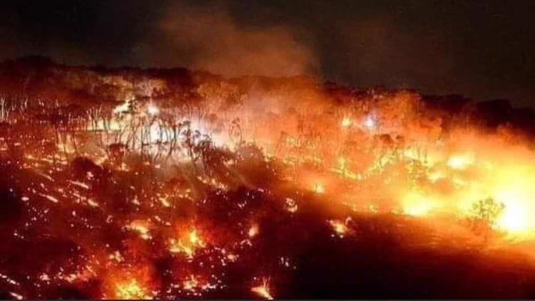 あまり報道されないけど。オーストラリアの火事がやばすぎる。宇宙からの写真もえぐい。