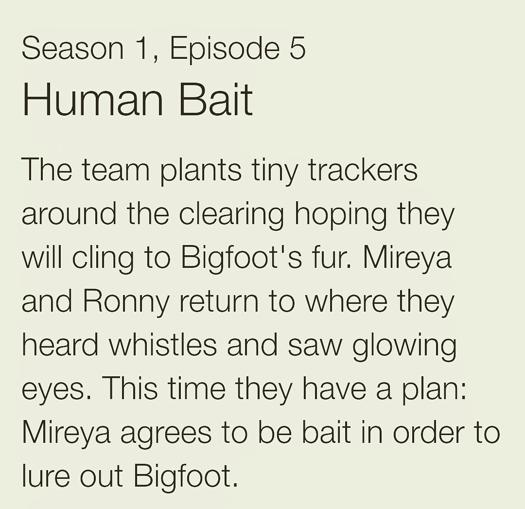AcordRussell's tweet photo. Tonight on #ExpeditionBigfoot on #TravelChannel #TRVLBigfoot who's ready for episode 5? #bigfoot in the #Oregon #wilderness #russellacord 
Do you believe the #peranormal ??? https://t.co/bH2gAkCKbe
