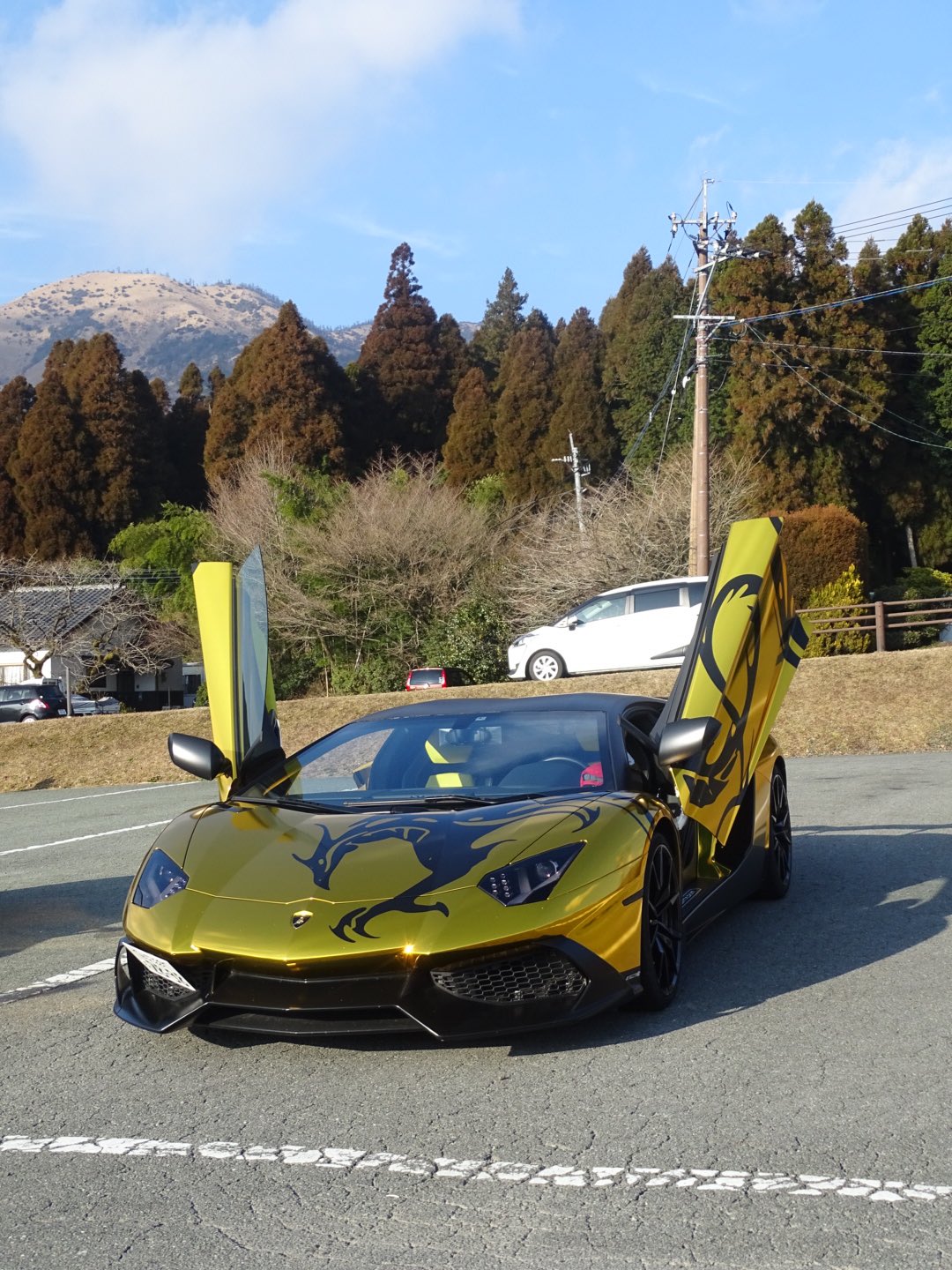 浦氏 もとgacktの愛車ランボルギーニ アヴェンタドール アニヴェルサリオ 厨二臭いって意見もあるけど自分はすごい好きな個体