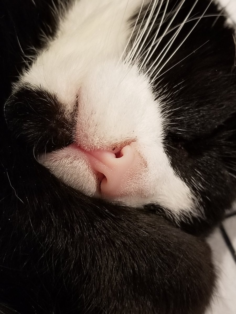 inkky (@its_inkky) on Twitter photo 