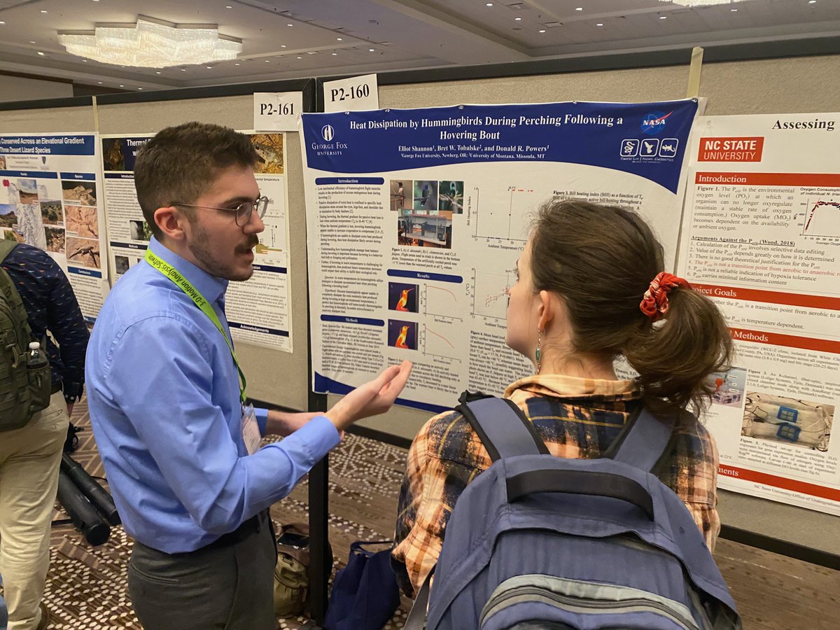 Lampornis's tweet photo. Elliot Shannon rocked his poster on hummingbird heat dissipation during flight today at SICB in Austin, TX! #SICB2020, #PowersLab https://t.co/rqTKRGgUdM