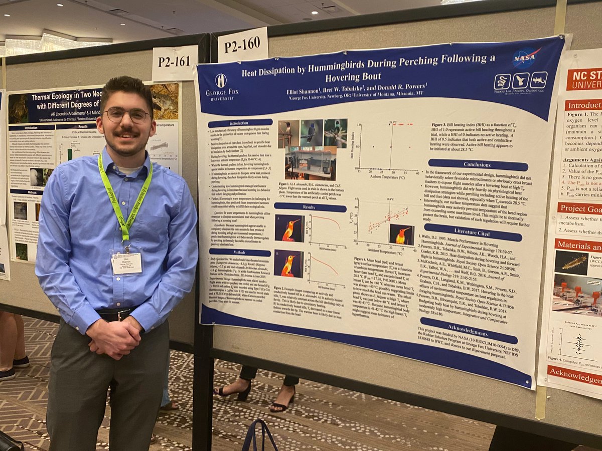 Lampornis's tweet photo. Elliot Shannon rocked his poster on hummingbird heat dissipation during flight today at SICB in Austin, TX! #SICB2020, #PowersLab https://t.co/rqTKRGgUdM