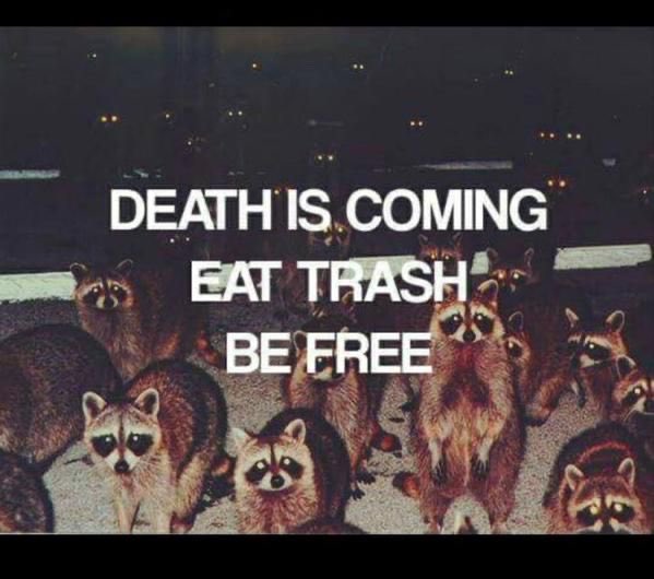 Death is coming. Eat trash be free
