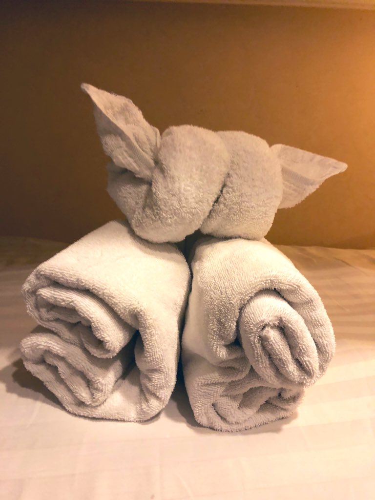 TylerJakobT's tweet photo. Came aboard the cruise to a towel #babyyoda waiting for me on my bed today. So impressed, Creds to our steward. https://t.co/5z4gtQSYIA