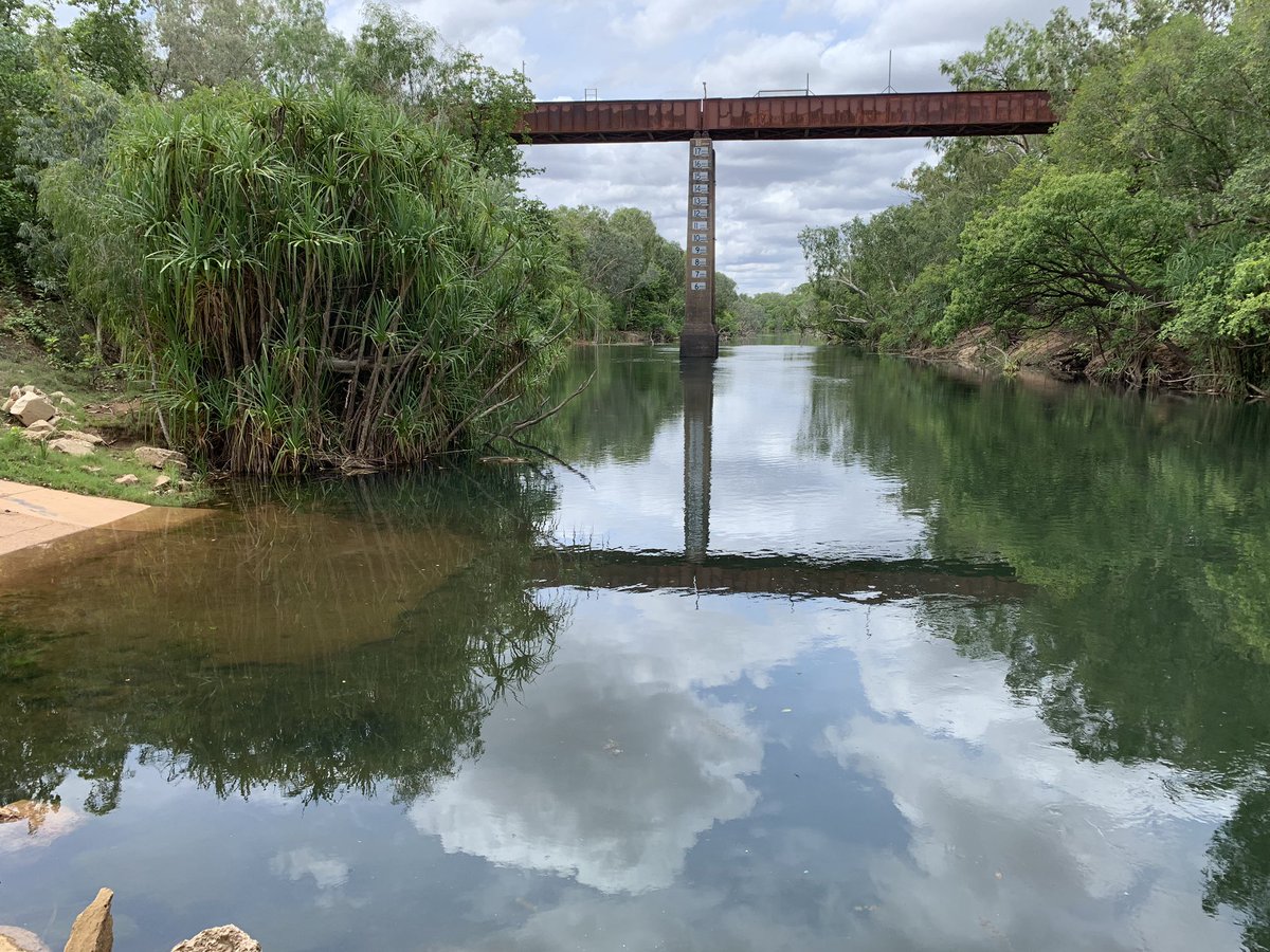 The Katherine River is starting to rise after 90mm of rain fell in the catchment over the weekend. Currently 0.34m at the bridge which is pretty grim. Looks like more rain is coming though, so hopefully the wet season is finally heading our way...