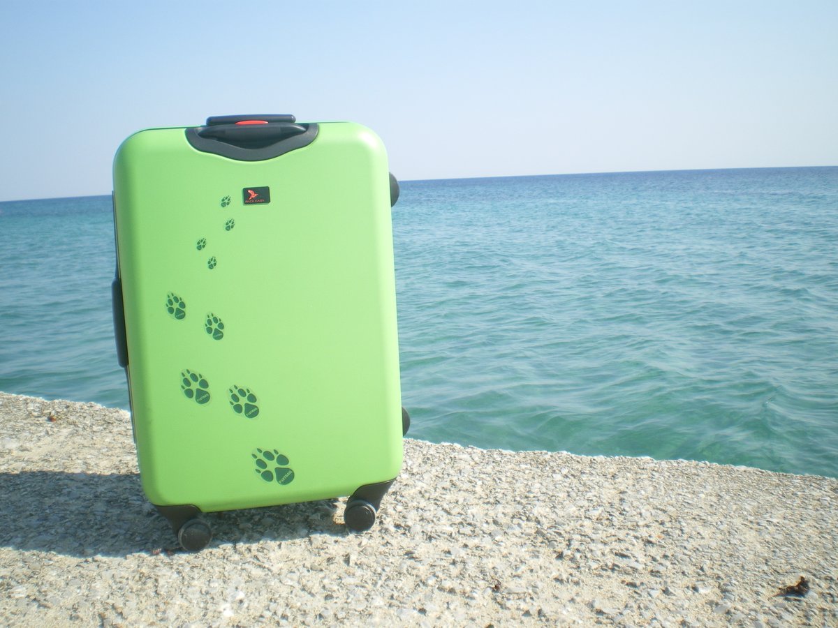 foxtrailschweiz's tweet image. Für viele von euch ist heute wohl Schluss mit Ferien. Halb so schlimm, denn es gibt leckeren Königskuchen und damit  eine Krone 👑 zu gewinnen.
Wir wünschen euch viel Glück beim Plastikfigürchen finden und nachträglich ein freudiges, spannendes und erfrischendes neues Jahr! 🌈