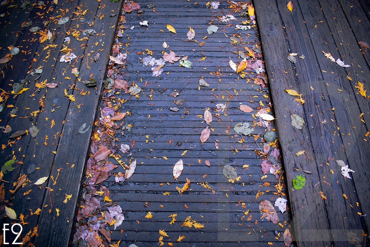 ezwode's tweet photo. #Last #Wooden #Foot #Bridge [1] Over #HudsonRiver #UpperWorks #Trail #Wilderness #Newcomb #UpstateNewYork #EmpireState @NatGeo #Photography #Architecture #Project @ezwode @HHValley @ExpHudsonValley @TheHudsonValley #gallery #artist #kunst #image #Iroquois #Algonquian #autumn https://t.co/v1Q6fHrizI