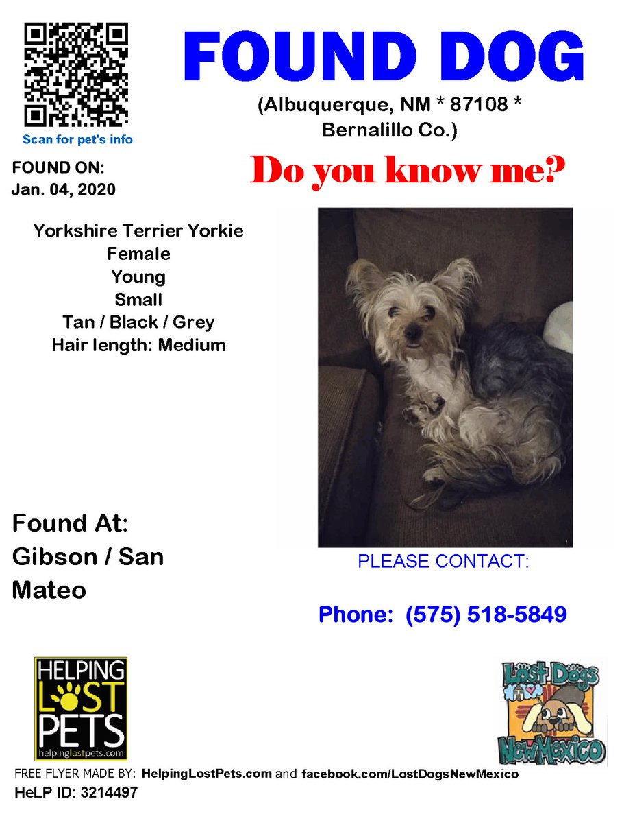 🛑🛑 Do you know this Dog? #Albuquerque (Gibson / San Mateo) #NM 87108 #Bernalillo Co. , #Found #Dog 01-04-2020!, Small / Young / Female #YorkshireTerrier #Yorkie / Tan / Black / Grey facebook.com/LostDogsNewMex…