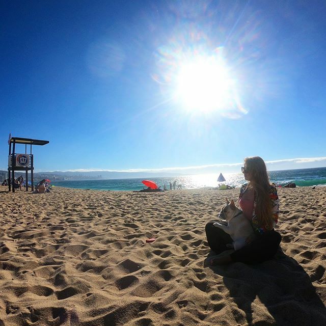 Michel2508's tweet photo. Mi vida es mucho mejor junto a ti❤️🏖
(El es nuestro wawito, digan lo que digan👍) #beach #love #loveislove #cute #goodvibes  #goodlife #happy #happymoments #hello #landscapephotography #landscape #landscape_lovers #couple #forevertogether #forever #photography #photooftheday … https://t.co/la704R5sIk