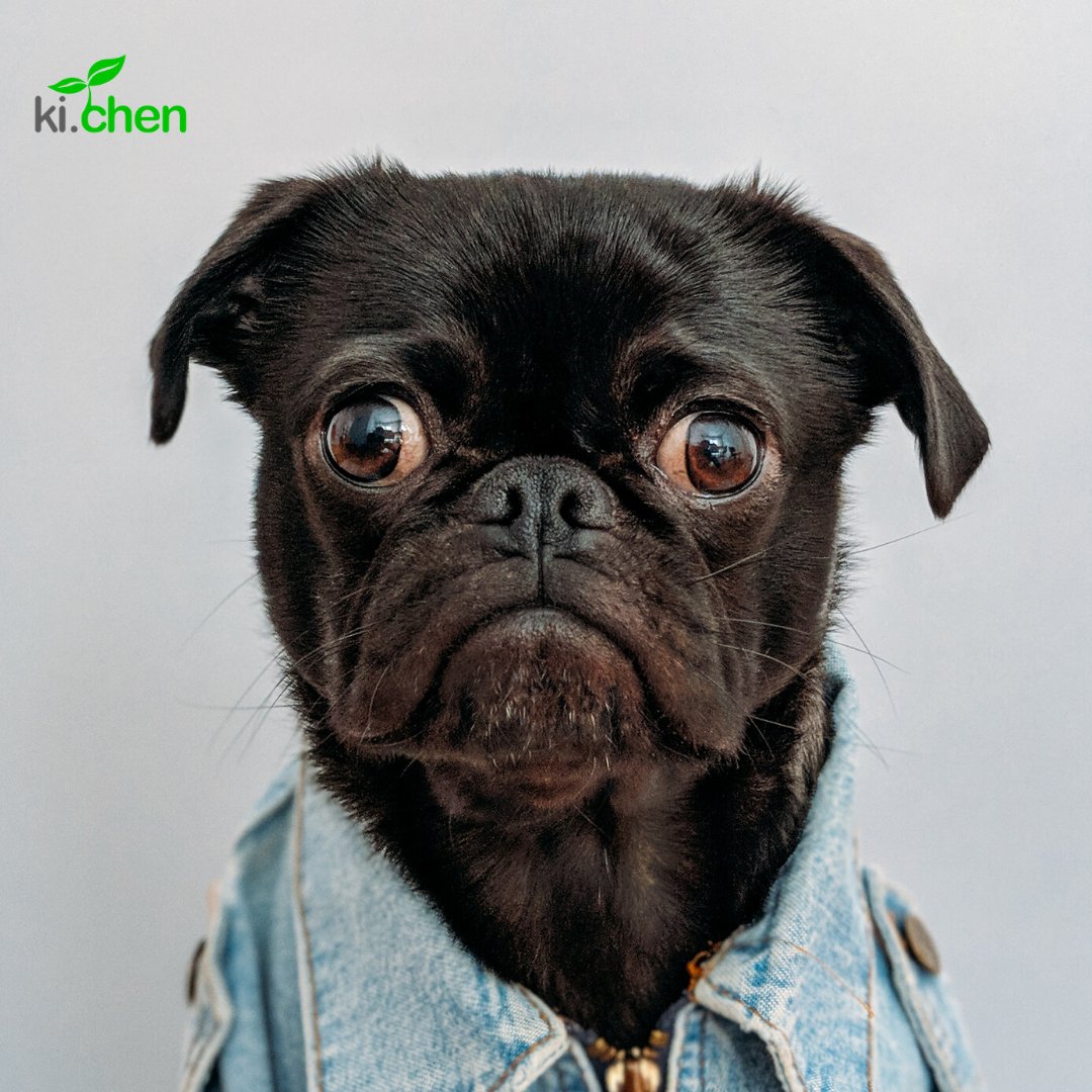urban_kichen's tweet photo. Don't let #brokeJanuary give you the blues! Our meals are fresh, tasty and pocket friendly! #100bobbreakfast #250boblunch #kichen #nairobieats #healthyeats #healthyeating https://t.co/GUFcESt23c