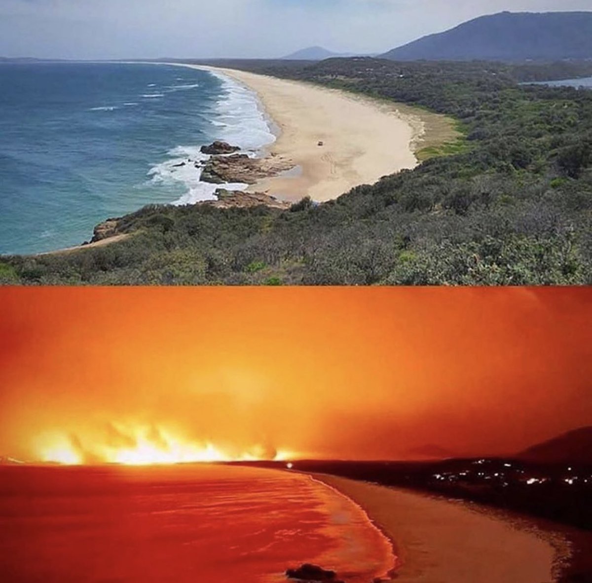 byeaussie's tweet image. 1500 homes lost, 20+ lives lost &amp;amp; many more still unaccounted for, over 6 MILLION hectares of land destroyed &amp;amp; 500 MILLION animals killed in the Australian bushfires. Every cent counts, please help my beautiful country. rfs.nsw.gov.au/volunteer/supp…