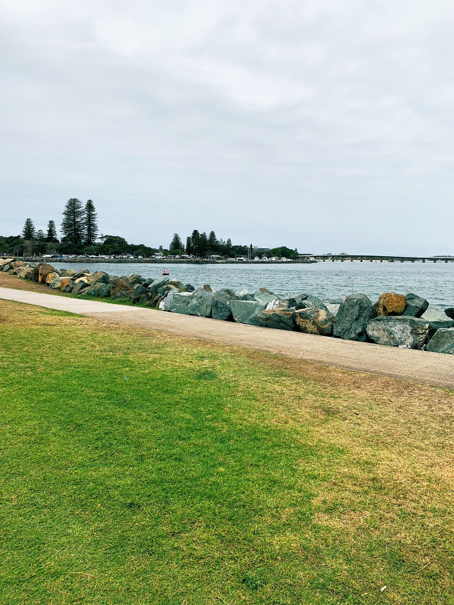 malake_khan's tweet photo. So thankful to be back at our second home 😊🏊🏼‍♀️🌴 #forstertuncurry #nottakinganythingforgranted https://t.co/AUpyASZXQl